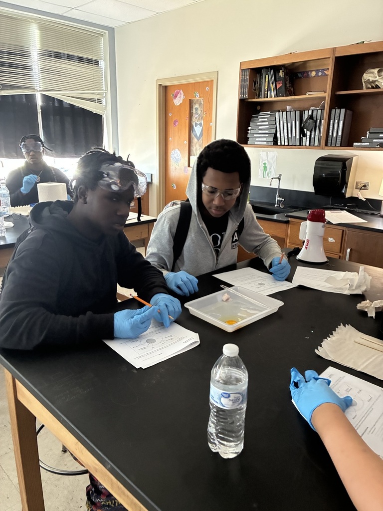 8th grade egg dissection lab