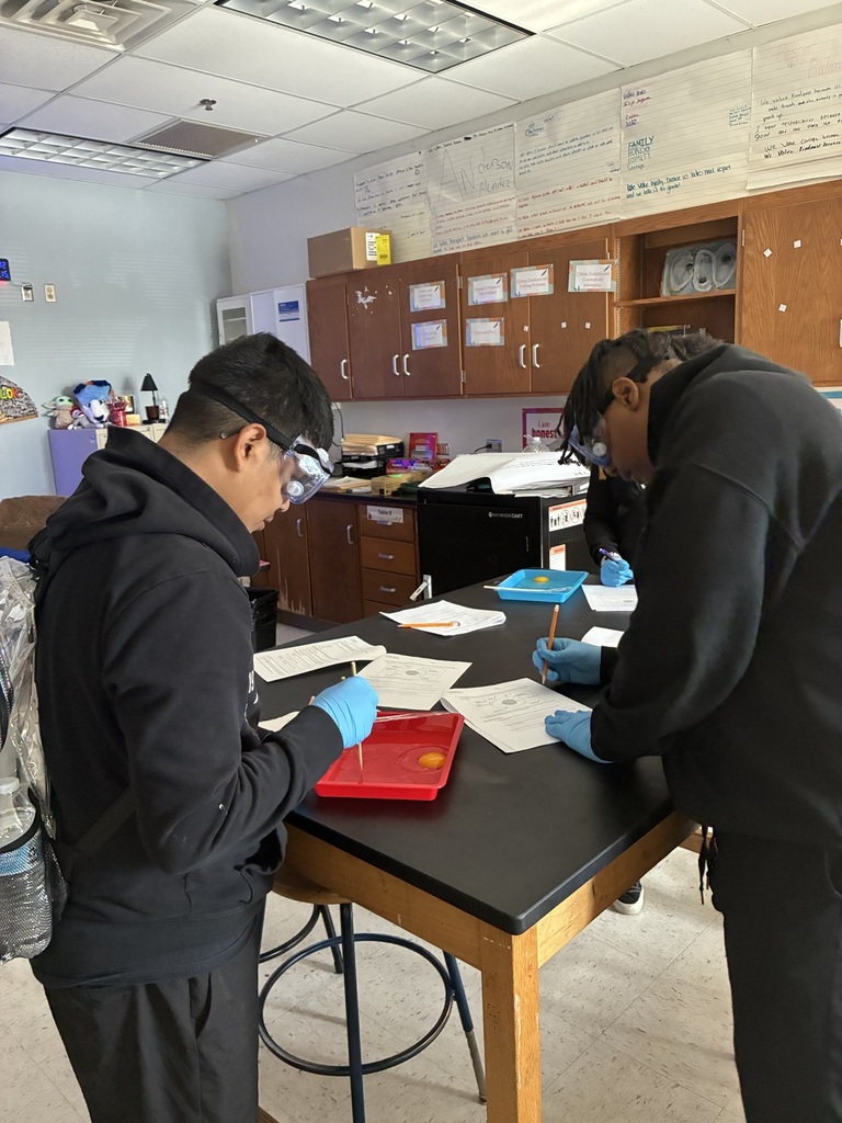 8th grade egg dissection lab