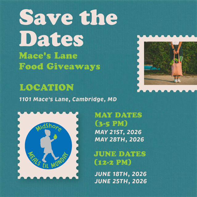 maces lane giveaway