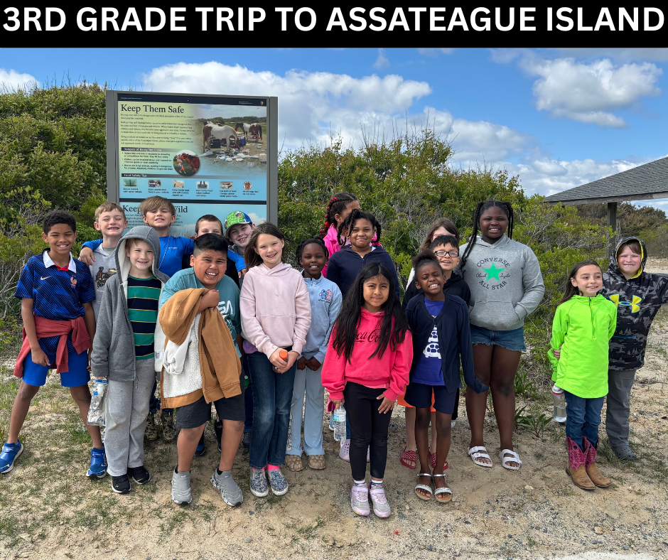 assataegue island
