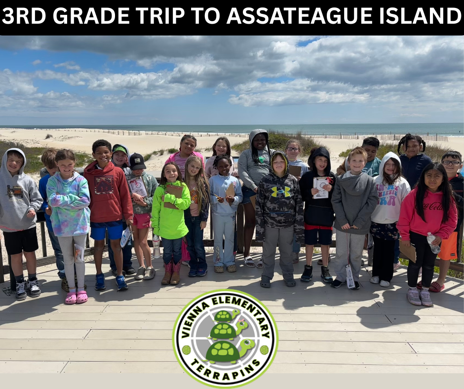 assataegue trip