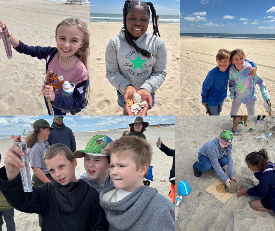 assateague