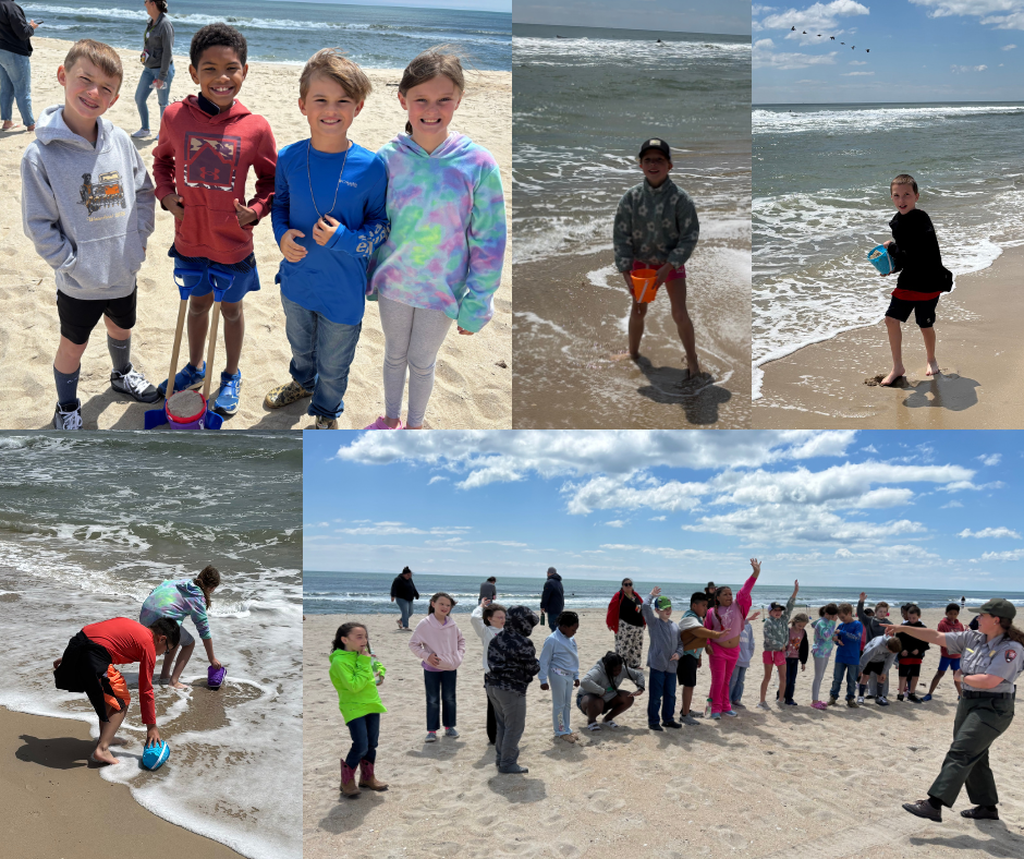 assateague