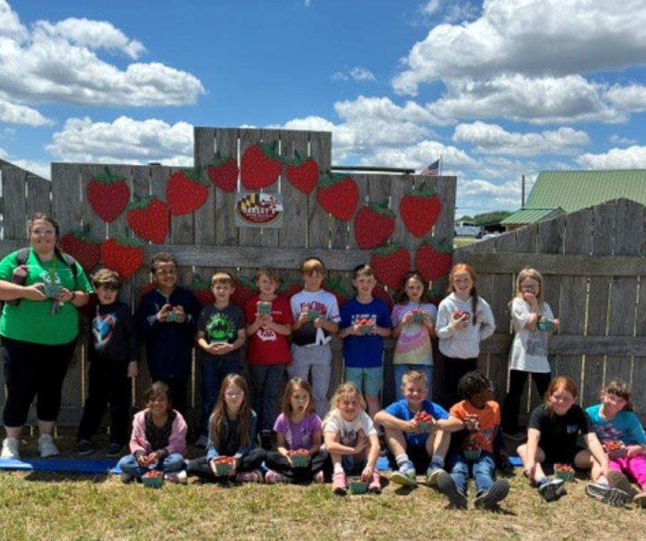Farm 2nd grade