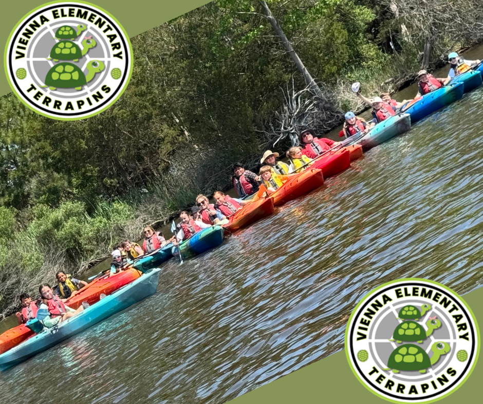 kayak