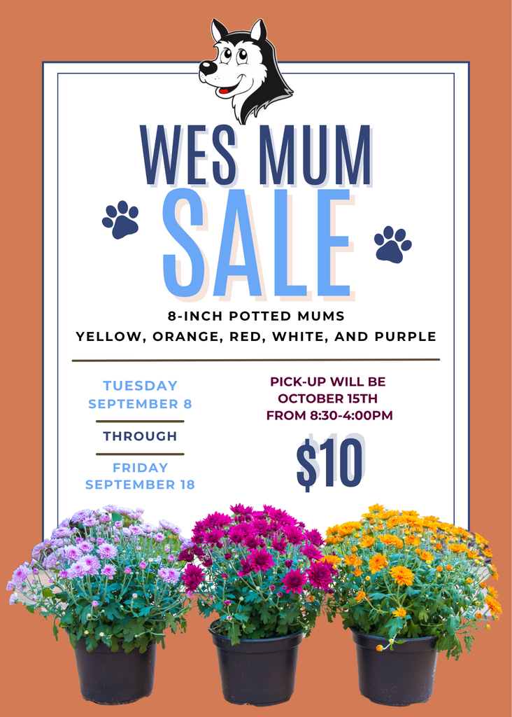 mum fundraiser