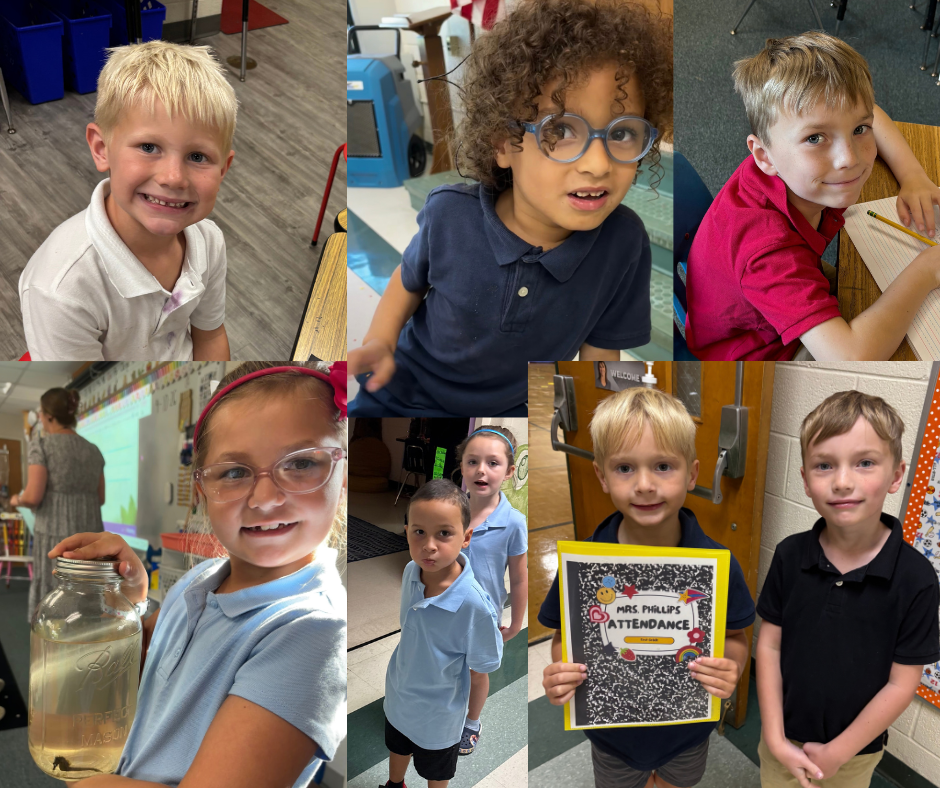 1st grade