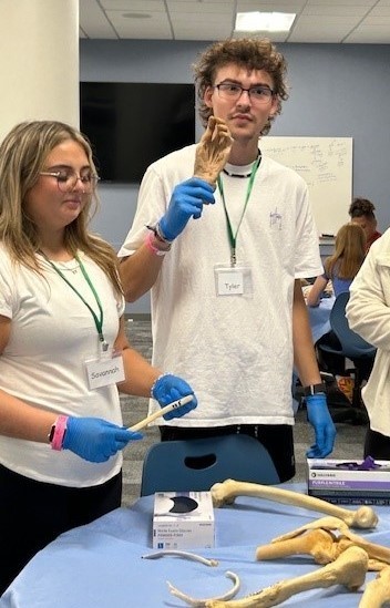 Two students in anatomy lab