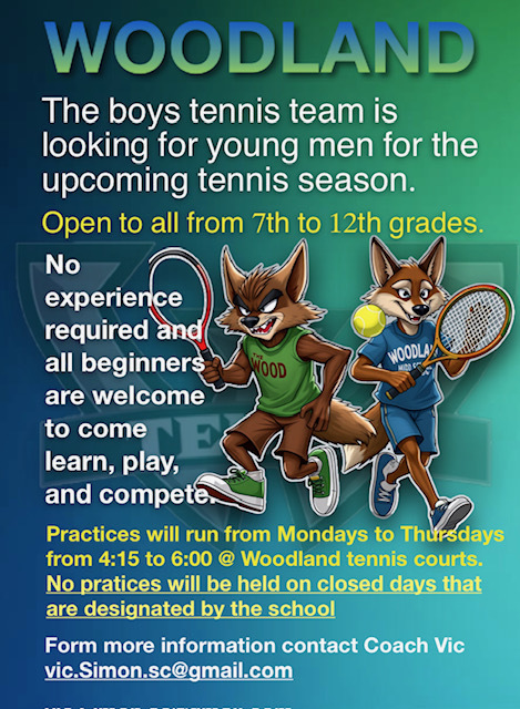 Boys tennis. Monday - Thursday. 4:15-6:00 at WHS. 7th-12th grade.
