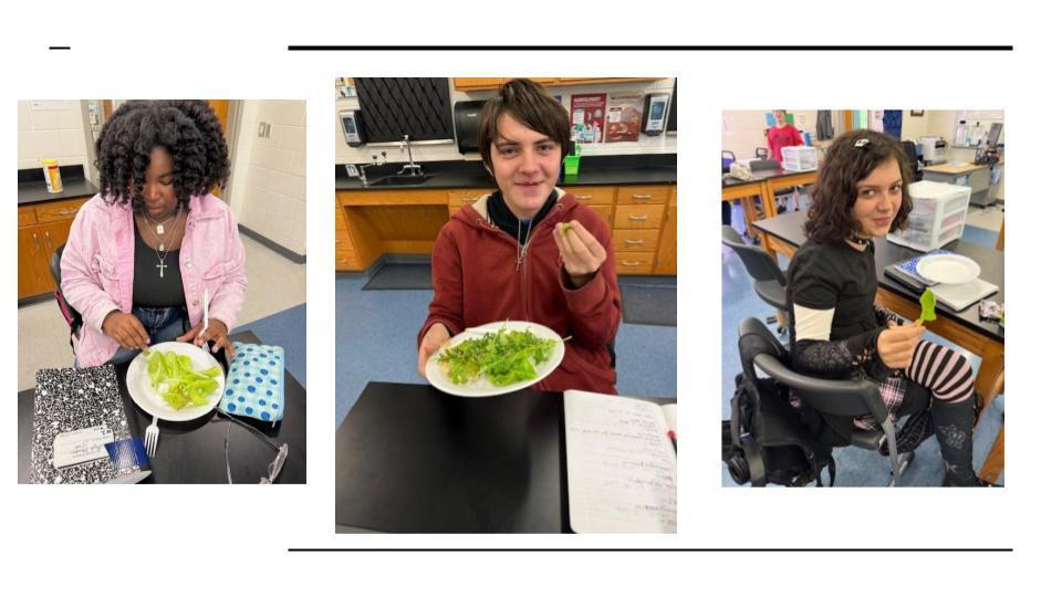 Three students sit at separate lab tables, each holding or examining pieces of lettuce from their hydroponic garden. One student wears a pink jacket, another in a red hoodie holds up a leaf with a grin, and another sits in a wheelchair smiling with her lettuce.