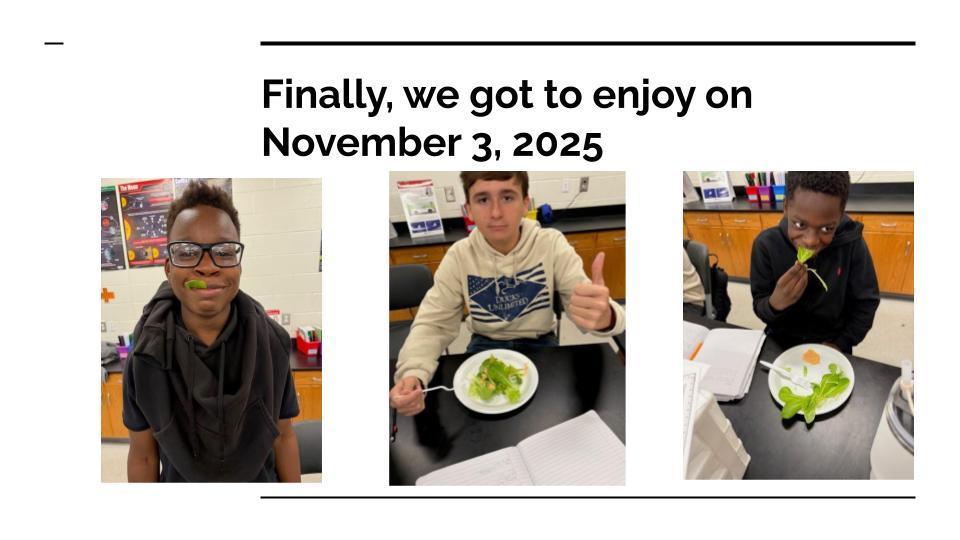 Three students pose with plates of lettuce at their desks. One makes a funny face with lettuce in his mouth, another gives a thumbs up, and the third bites into a large leaf. The caption on the slide reads, “Finally, we got to enjoy on November 3, 2025.”
