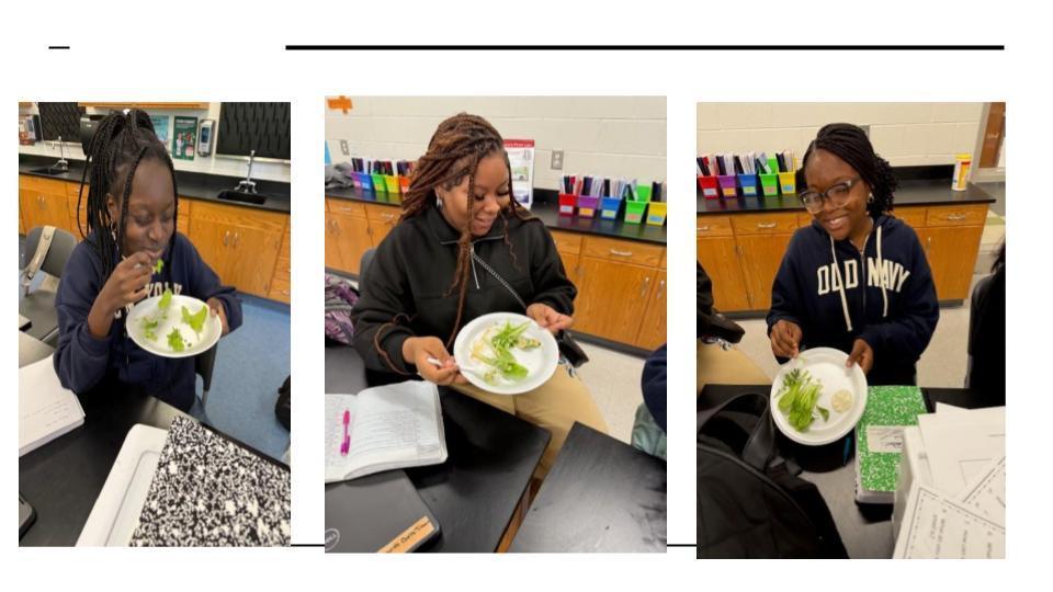 Three students at science lab tables sample lettuce grown from their hydroponic project. Each holds a small plate of greens. The students are smiling and appear to enjoy their tasting activity, with notebooks and folders on the tables nearby.