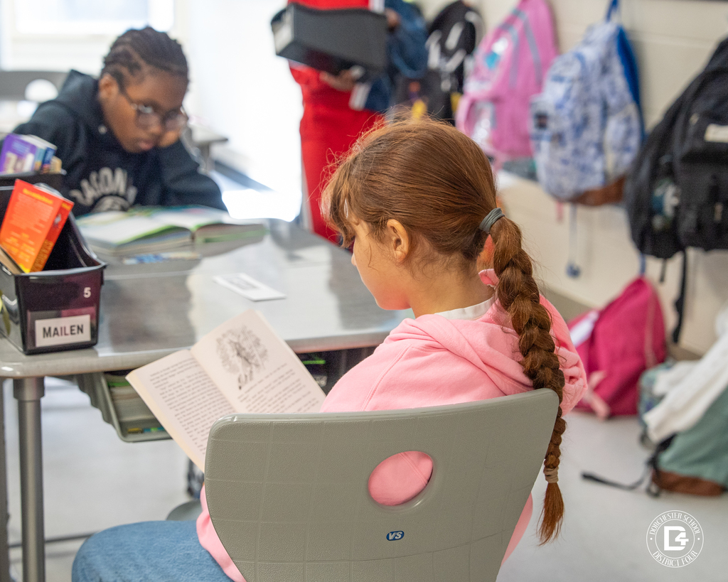 A student with a long braid and pink hoodie reads quietly at her desk while another student studies in the background.