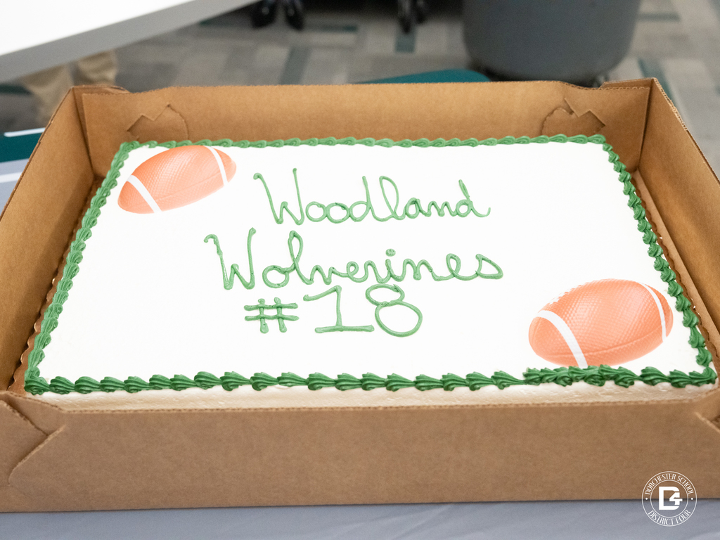 A sheet cake in a cardboard box decorated with footballs and green icing reads “Woodland Wolverines #18.”