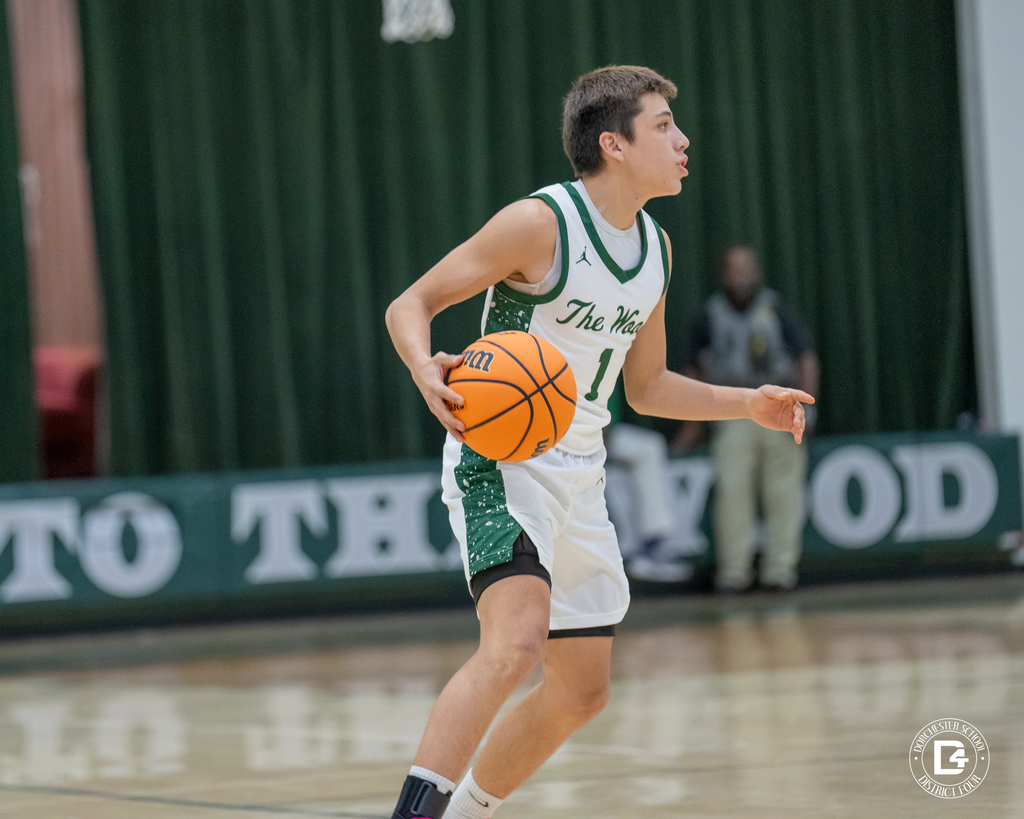 Juan Forero controls the ball at the top of the key, surveying the floor with the green curtain backdrop behind him.