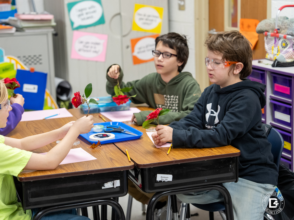 Students wearing safety goggles sit together at desks holding red flowers as they begin dissecting and studying the structure of the plant during a hands-on science activity.