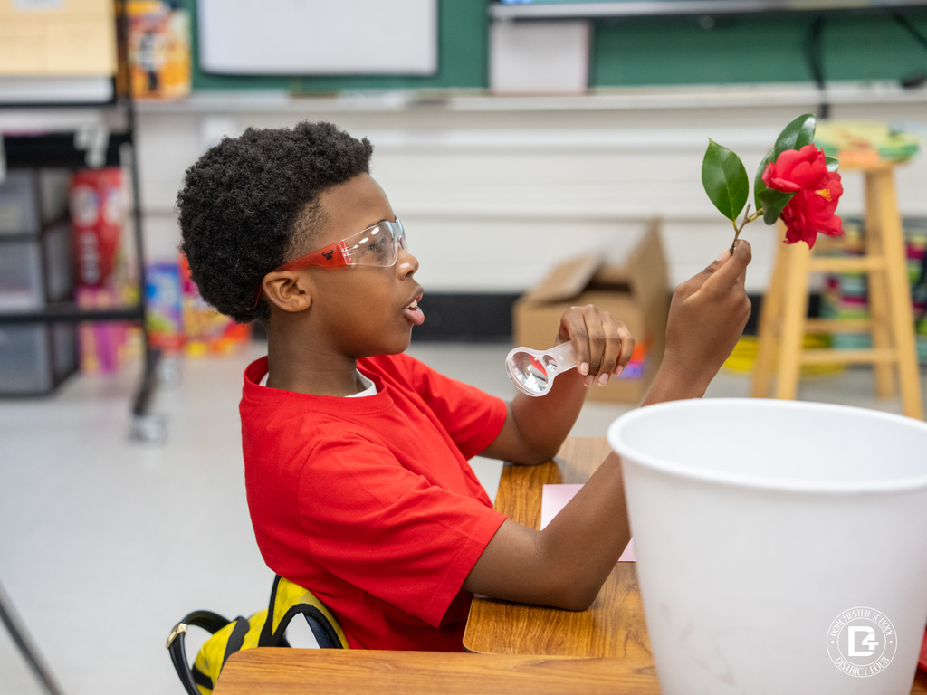 A student in a red shirt uses a magnifying lens to carefully study a red flower while learning about plant anatomy in Mrs. Rickborn’s science class.