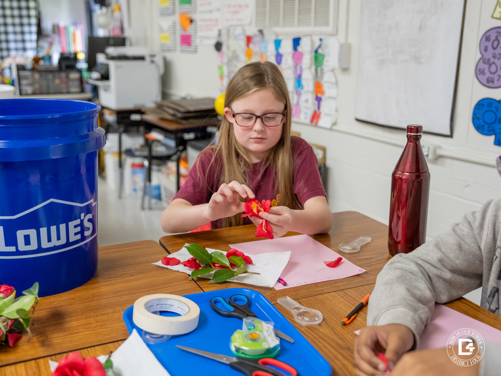A student carefully separates petals from a red flower while identifying plant structures during a classroom science activity.