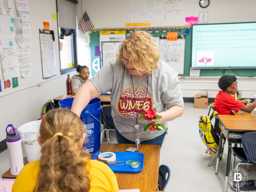 Mrs. Rickborn assists a student during a flower dissection activity as students explore the different parts of a plant in a hands-on science lesson at Williams Memorial Elementary School.