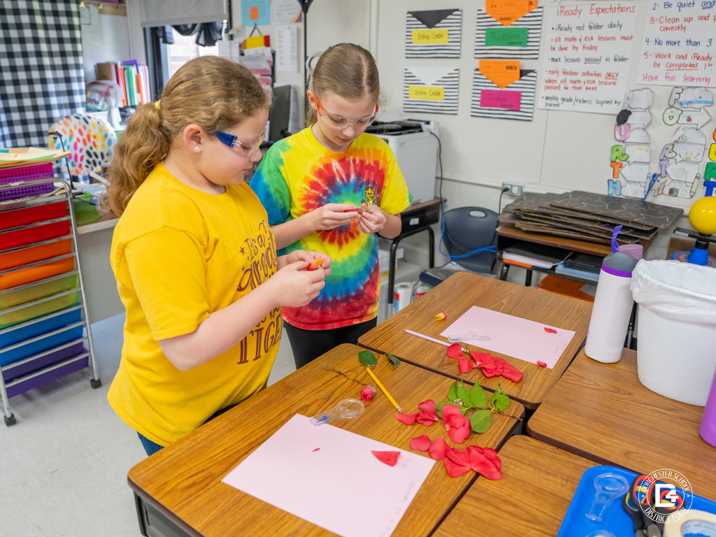 Two students stand at their desks examining pieces of a red flower as they work together to identify the parts of the plant.