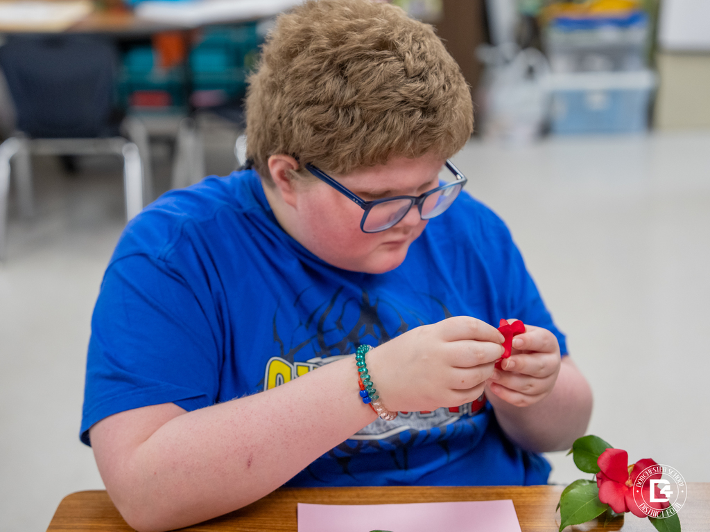 A student studies the center of a flower closely while identifying its parts during Mrs. Rickborn’s science lesson at Williams Memorial Elementary School.