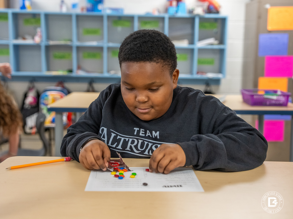 Student pours M&M’s onto a worksheet and begins grouping the candy by color for a probability lesson.