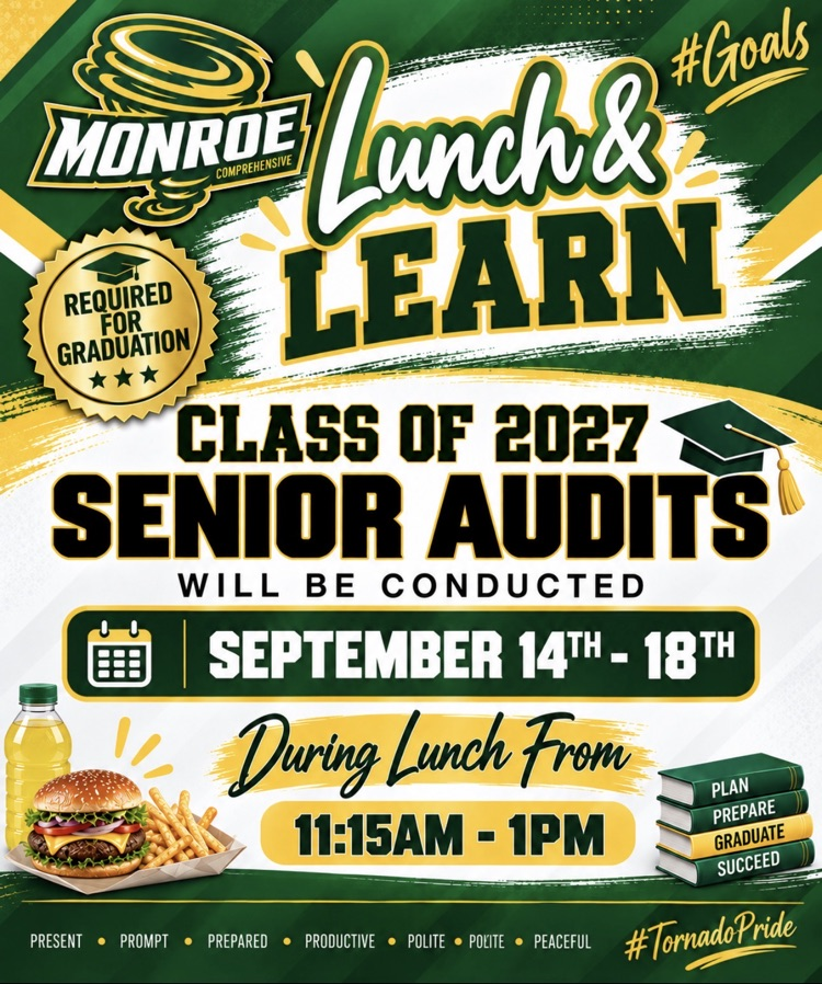 Senior audits