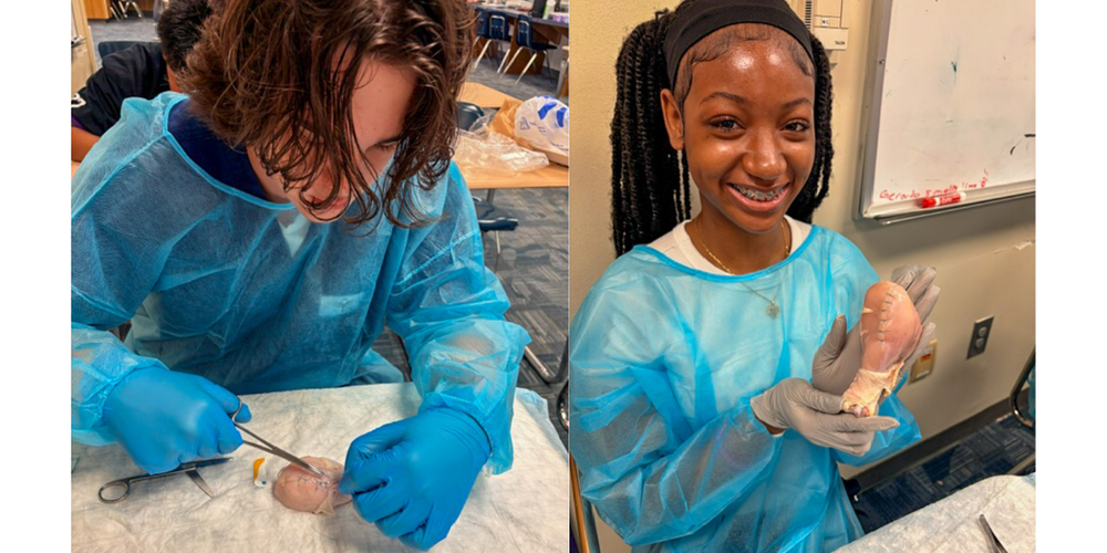 Chapel Hill High students practice suturing on chicken.
