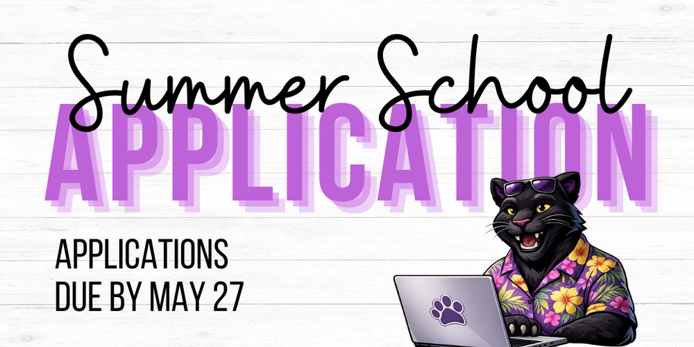 Summer School Applications