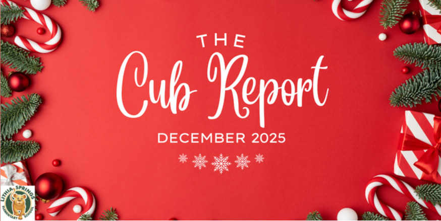 Cub Report