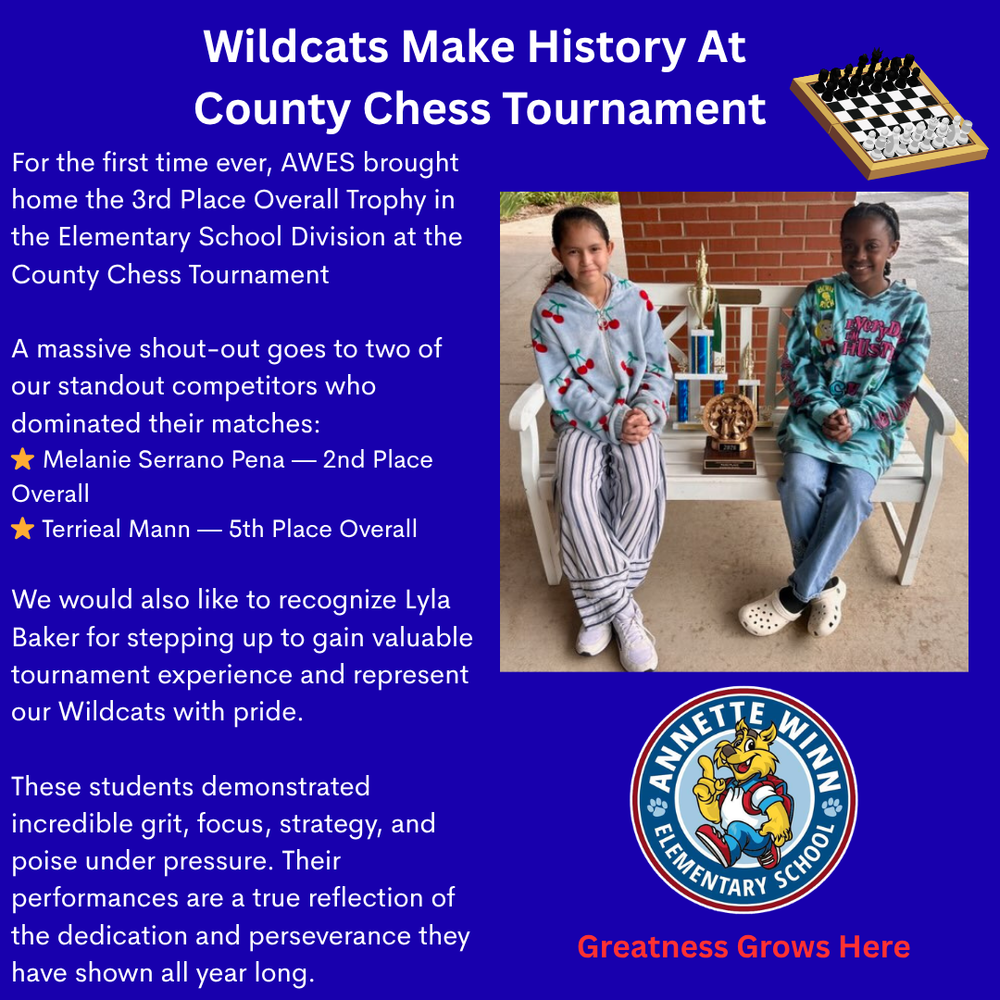AWES Shines at County Chess Tournament