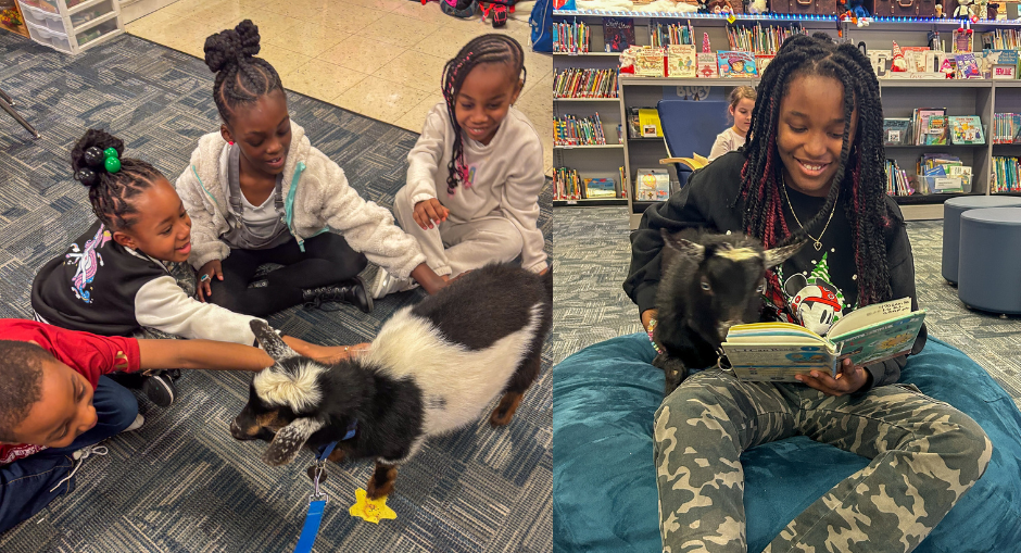 Students read with two new reading goats at Bright Star Elementary.