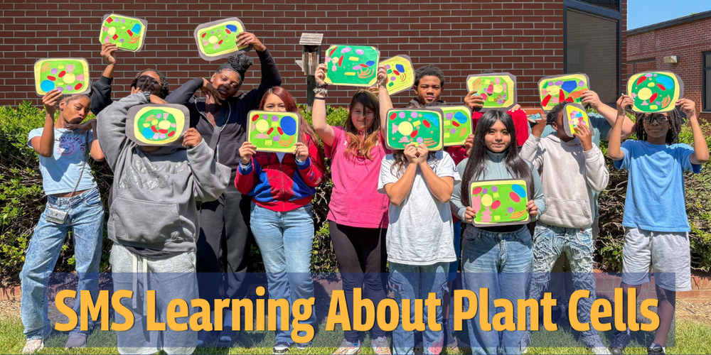 Stewart Middle students with their colorful plant cell models.
