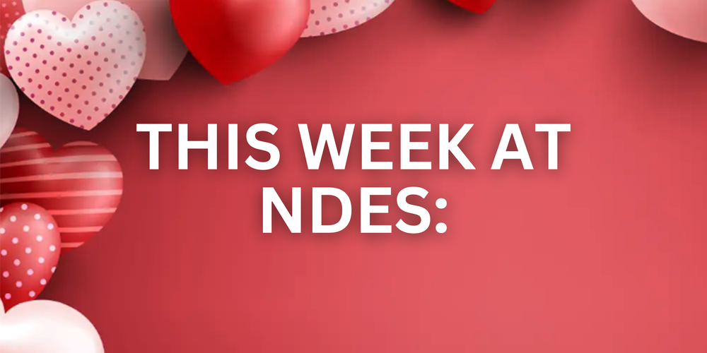 This week at NDES