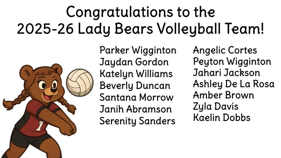 Volleyball Team 