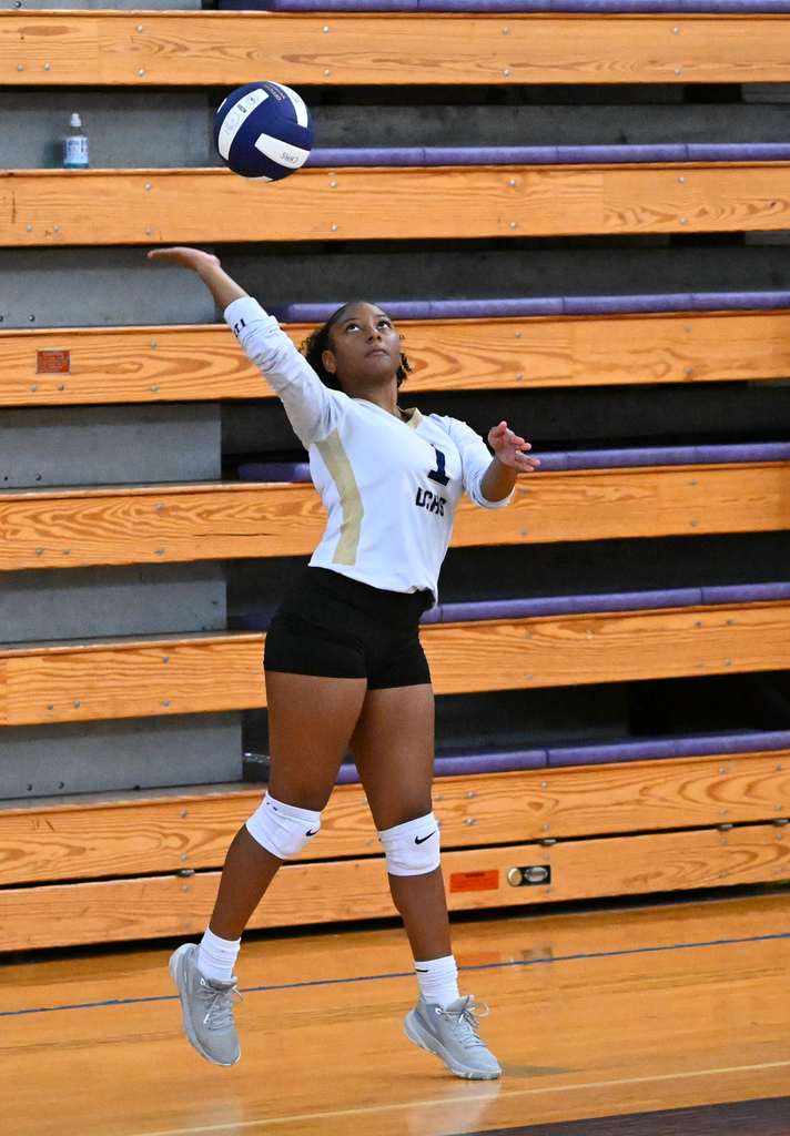 CHHS-DCHS Volleyball