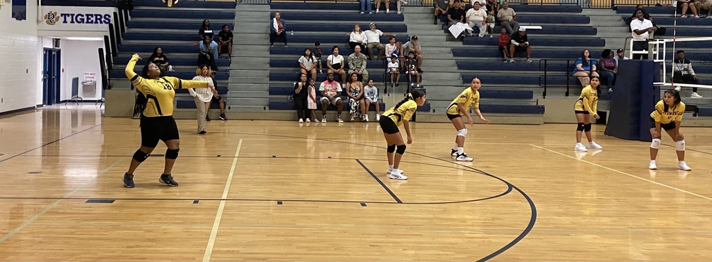 VB1