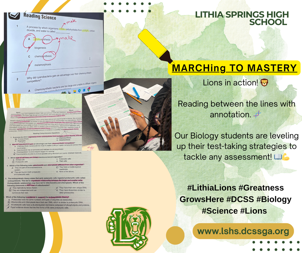 LSHS Spotlight: Marching to Mastery