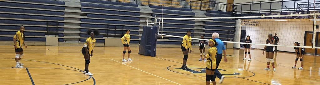 VB1