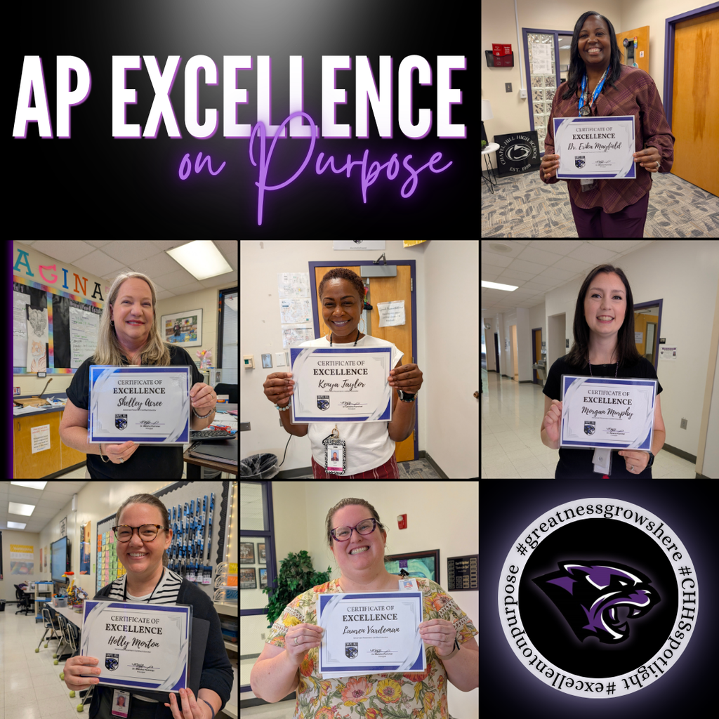 Excellence in AP