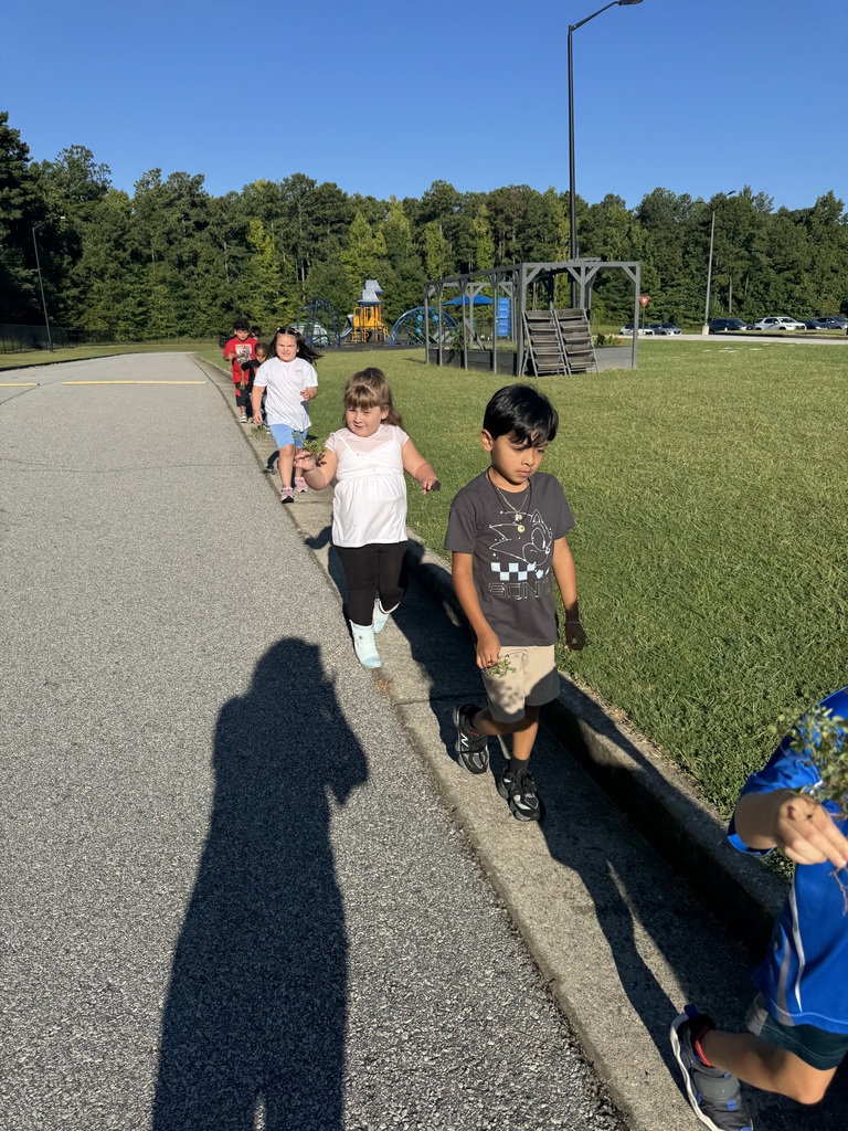 students in STEM 