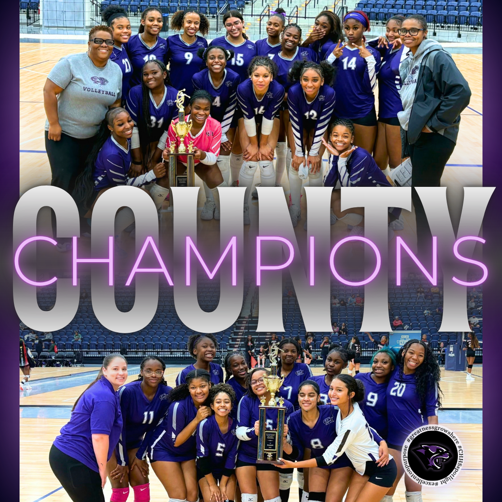 Volleyball Clinches County Championship