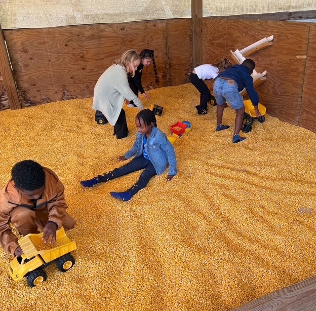 children on 1st grade field trip to farm