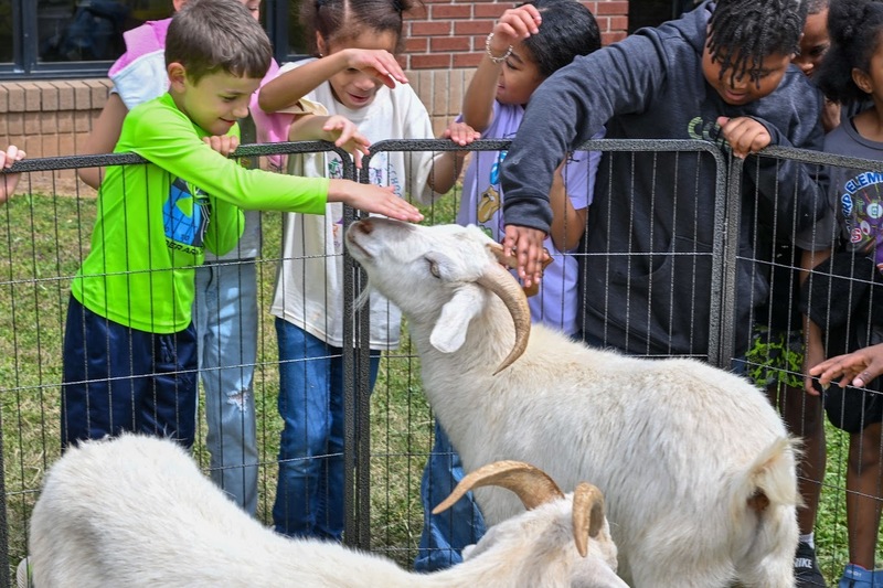 Bill Arp students pet a goat during the 12th annual STEAM Day at the school.