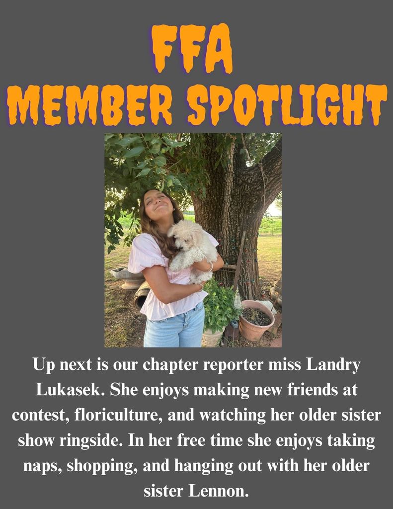 Deets Halloween Edition