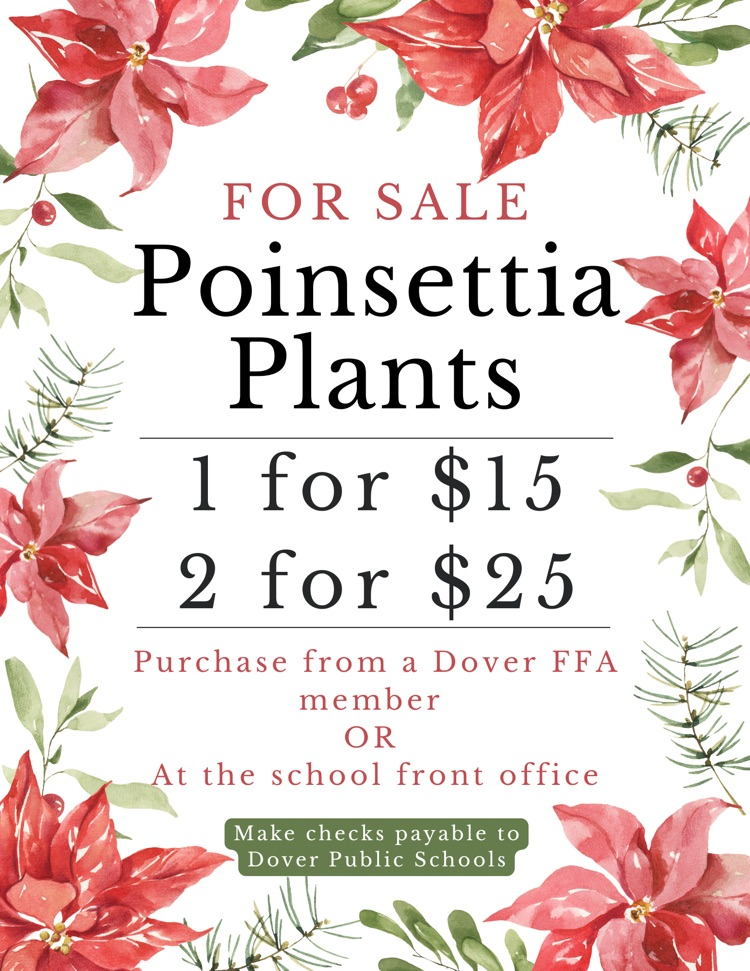 Poinsettia Sale