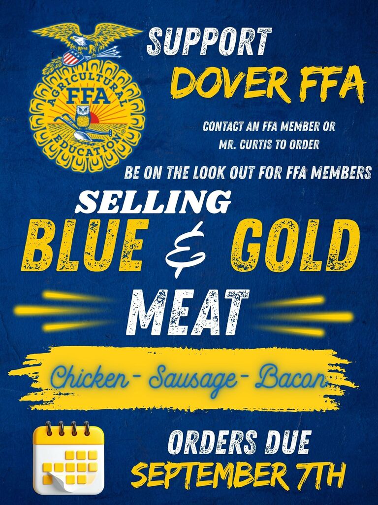 Blue and Gold 