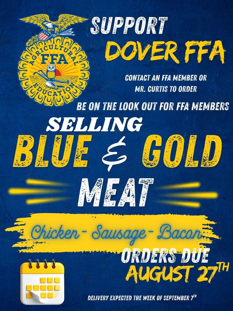Blue and Gold 
