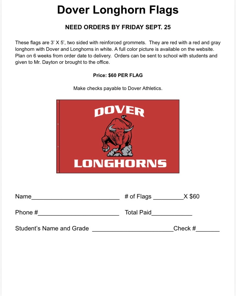 Longhorn flags