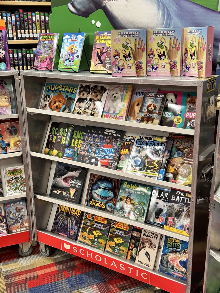 Book Fair